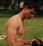 Taylor Lautner : taylor-lautner-1330195056.jpg