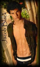 Taylor Lautner : taylor_lautner_1240846335.jpg