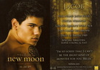 Taylor Lautner : taylor_lautner_1250332733.jpg