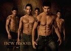 Taylor Lautner : taylor_lautner_1269397445.jpg