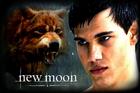 Taylor Lautner : taylor_lautner_1310836465.jpg