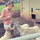 Taylor Swift : taylor-swift-1430522738.jpg