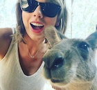 Taylor Swift : taylor-swift-1449436755.jpg