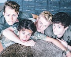 The Vamps : the-vamps-1455248521.jpg