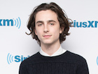 Timothee Chalamet : timothee-chalamet-1514090042.jpg