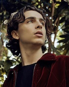 Timothee Chalamet : timothee-chalamet-1514094342.jpg