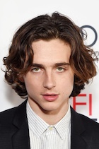 Timothee Chalamet : timothee-chalamet-1515309785.jpg