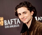 Timothee Chalamet : timothee-chalamet-1515310340.jpg