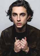 Timothee Chalamet : timothee-chalamet-1515529018.jpg