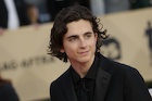 Timothee Chalamet : timothee-chalamet-1520190451.jpg