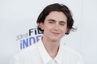 Timothee Chalamet : timothee-chalamet-1520190456.jpg