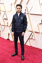 Timothee Chalamet : timothee-chalamet-1581366460.jpg