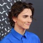 Timothee Chalamet : timothee-chalamet-1600809916.jpg