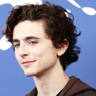 Timothee Chalamet : timothee-chalamet-1630768931.jpg