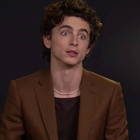 Timothee Chalamet : timothee-chalamet-1631026296.jpg