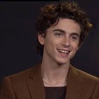 Timothee Chalamet : timothee-chalamet-1631026300.jpg