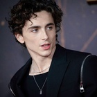 Timothee Chalamet : timothee-chalamet-1634764997.jpg