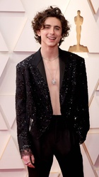 Timothee Chalamet : timothee-chalamet-1648532265.jpg