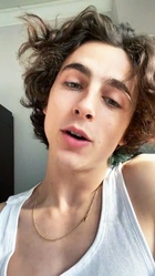 Timothee Chalamet : timothee-chalamet-1666271818.jpg