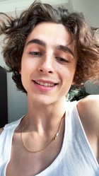 Timothee Chalamet : timothee-chalamet-1666271850.jpg