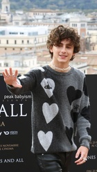 Timothee Chalamet : timothee-chalamet-1668301831.jpg