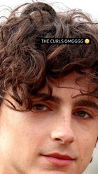 Timothee Chalamet : timothee-chalamet-1668301842.jpg