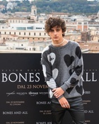 Timothee Chalamet : timothee-chalamet-1668553381.jpg