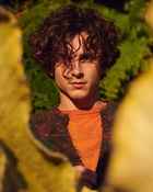 Timothee Chalamet : timothee-chalamet-1675904479.jpg