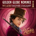 Timothee Chalamet : timothee-chalamet-1702418016.jpg