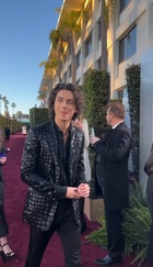 Timothee Chalamet : timothee-chalamet-1707950188.jpg