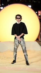 Timothee Chalamet : timothee-chalamet-1708192112.jpg