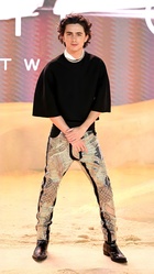 Timothee Chalamet : timothee-chalamet-1708192121.jpg