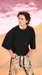 Timothee Chalamet : timothee-chalamet-1708192127.jpg