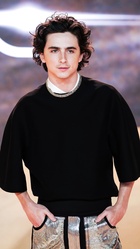 Timothee Chalamet : timothee-chalamet-1708226687.jpg