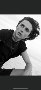 Timothee Chalamet : timothee-chalamet-1712089945.jpg