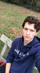 Tom Holland : tom-holland-1492065361.jpg