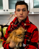 Tom Holland : tom-holland-1513412282.jpg