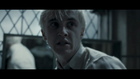 Tom Felton : tom_felton_1241259534.jpg