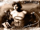 Tom Welling : tom_welling_1178730215.jpg