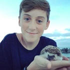 Trevor Moran : trevor-moran-1432319761.jpg