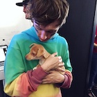 Troye Sivan : troye-sivan-1474767721.jpg