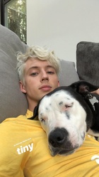 Troye Sivan : troye-sivan-1535838302.jpg