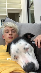 Troye Sivan : troye-sivan-1535859302.jpg