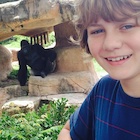 Ty Simpkins : ty-simpkins-1440248401.jpg