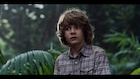 Ty Simpkins : ty-simpkins-1457840639.jpg