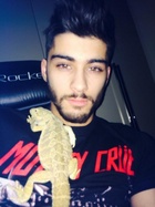 Zayn Malik : zayn-malik-1409028669.jpg