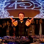 Zedd : zedd-1449781561.jpg